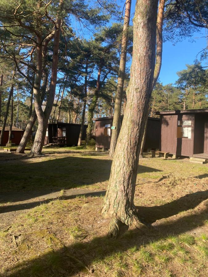 Domki Szumi Las Villa Mrzeżyno Exteriör bild