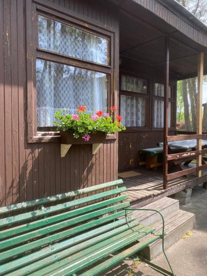 Domki Szumi Las Villa Mrzeżyno Exteriör bild