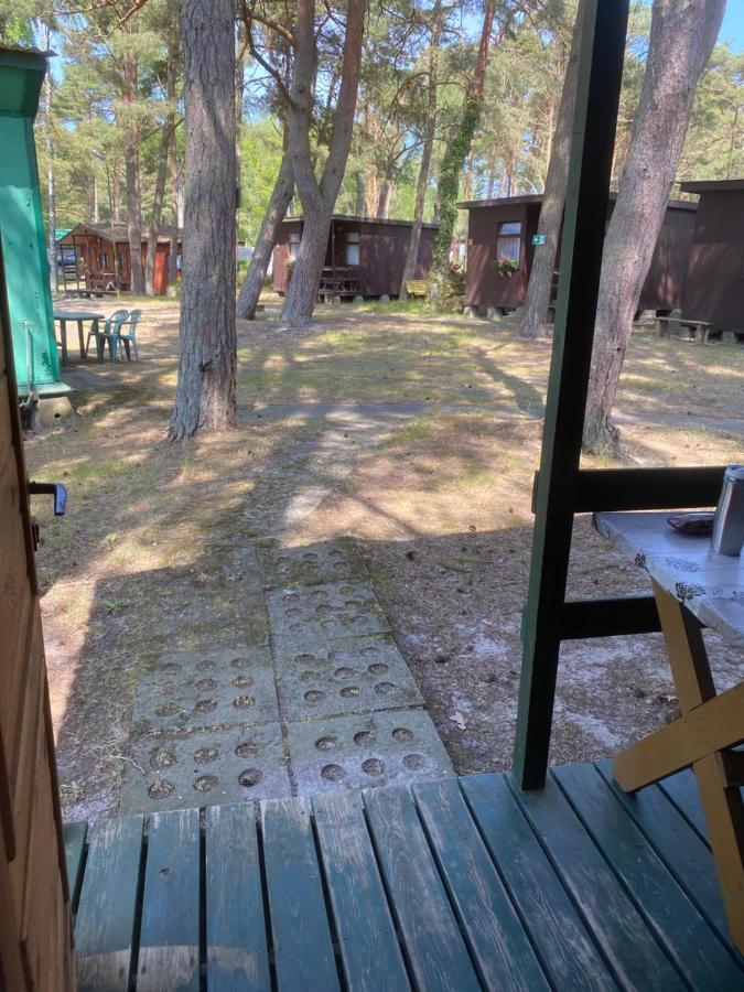 Domki Szumi Las Villa Mrzeżyno Exteriör bild